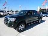 Spruce Green Mica Toyota Tacoma in 2012