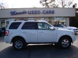 2010 White Suede Ford Escape XLT #58364527
