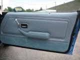 1978 Pontiac Firebird Trans Am Coupe Door Panel