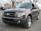 2007 Carbon Metallic Ford Expedition Limited 4x4 #58364507