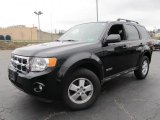 2008 Black Ford Escape XLT 4WD #58396680