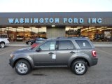 2012 Sterling Gray Metallic Ford Escape XLT V6 4WD #58396847