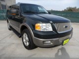 Aspen Green Metallic Ford Expedition in 2003