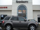 2009 Sterling Grey Metallic Ford Escape XLT 4WD #58447635