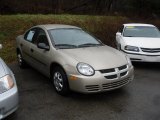 2003 Light Almond Pearl Metallic Dodge Neon SE #58447508