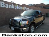 2011 Tuxedo Black Metallic Ford F150 XLT SuperCrew #58447414