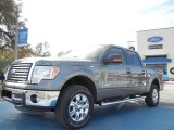 2012 Ford F150 XLT SuperCrew 4x4