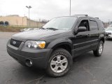 2007 Black Ford Escape XLT 4WD #58555287