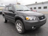 2007 Ford Escape XLT 4WD Front 3/4 View