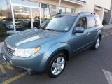 2009 Sage Green Metallic Subaru Forester 2.5 X Premium #58555681