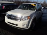 2011 Oxford White Ford Escape XLT #58555646