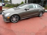 Olivine Gray Metallic Mercedes-Benz E in 2010