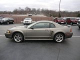 2001 Mineral Grey Metallic Ford Mustang Cobra Coupe #58608442