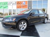 2012 Volkswagen Passat 2.5L SE