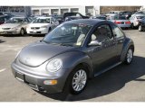 2004 Platinum Grey Metallic Volkswagen New Beetle GLS Coupe #5853414
