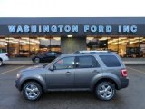 2009 Sterling Grey Metallic Ford Escape Limited V6 4WD #58664334
