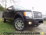 2012 Tuxedo Black Metallic Ford F150 Platinum SuperCrew 4x4 #58684179