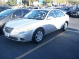 2009 Hyundai Sonata GLS