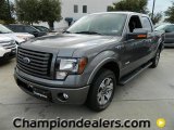 2011 Ford F150 FX2 SuperCrew