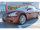 2010 Nissan Maxima 3.5 SV