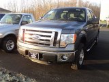 2011 Sterling Grey Metallic Ford F150 XLT SuperCab 4x4 #58783009