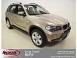 2008 BMW X5 3.0si