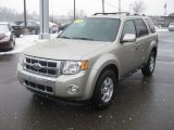 2010 Ford Escape Limited Front 3/4 View