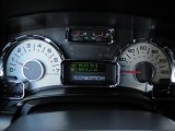 2008 Ford Expedition King Ranch 4x4 Gauges