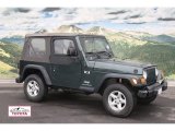 2003 Shale Green Metallic Jeep Wrangler X 4x4 #58915007