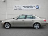 2009 Platinum Bronze Metallic BMW 5 Series 528i Sedan #58915329