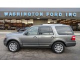 Sterling Grey Metallic Ford Expedition in 2011
