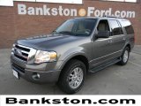 2012 Sterling Gray Metallic Ford Expedition XLT #58969590