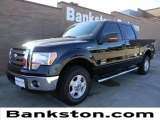 2011 Ford F150 XLT SuperCrew 4x4