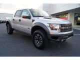 2012 Ford F150 Ingot Silver Metallic