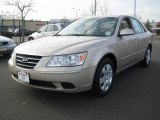 2009 Hyundai Sonata GLS