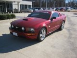 2008 Dark Candy Apple Red Ford Mustang GT Deluxe Coupe #59054152