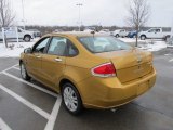 Amber Gold Metallic Ford Focus in 2009