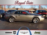 2001 Mineral Grey Metallic Ford Mustang Cobra Coupe #59117017