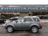 2012 Sterling Gray Metallic Ford Escape XLT V6 4WD #59117229