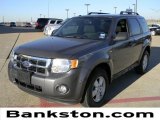 2010 Sterling Grey Metallic Ford Escape XLT #59116912