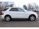 2010 Mercedes-Benz ML 550 4Matic Exterior