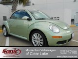 2008 Volkswagen New Beetle SE Convertible