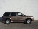 2001 Medium Bronze Pearl Dodge Durango SLT 4x4 #59168747