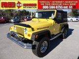 2002 Solar Yellow Jeep Wrangler X 4x4 #59169101