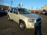 2005 Gold Ash Metallic Ford Escape Limited 4WD #59242639