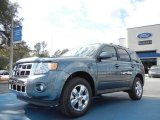2012 Steel Blue Metallic Ford Escape Limited #59242609