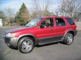 2004 Redfire Metallic Ford Escape XLT V6 4WD #59243356