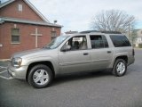 Light Pewter Metallic Chevrolet TrailBlazer in 2003