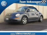 2006 Platinum Grey Volkswagen New Beetle 2.5 Convertible #59243284
