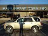 2012 Gold Leaf Metallic Ford Escape Limited #59242858